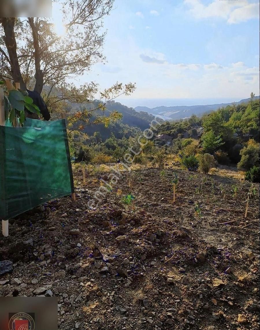 Alanya Hocalar Satılık Tarla ALANYA HOCALAR'DA SATILIK TEK TAPU 4 DÖNÜM AVOKADO TARLASI