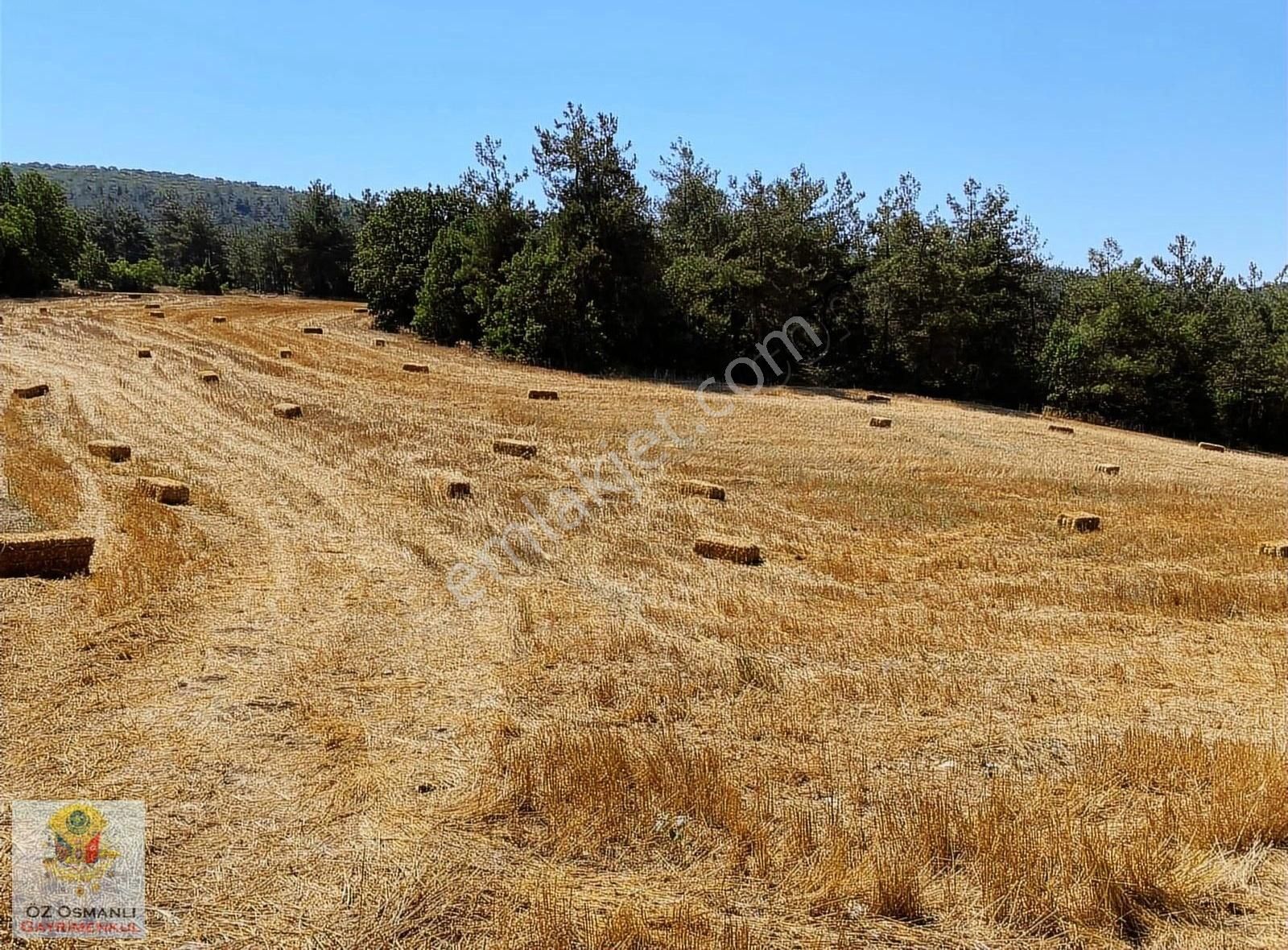 Osmaneli Medetli Köyü Satılık Tarla Medetli Köyünde 3,716 M2 Yatırıma Uygun Tarla