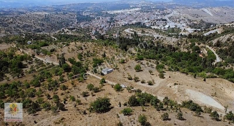 Söğüt Balaban Satılık Bağ & Bahçe Söğüt Merkeze 2 Dk Mesafede İmar Sınırı Yatırımlık Tarla