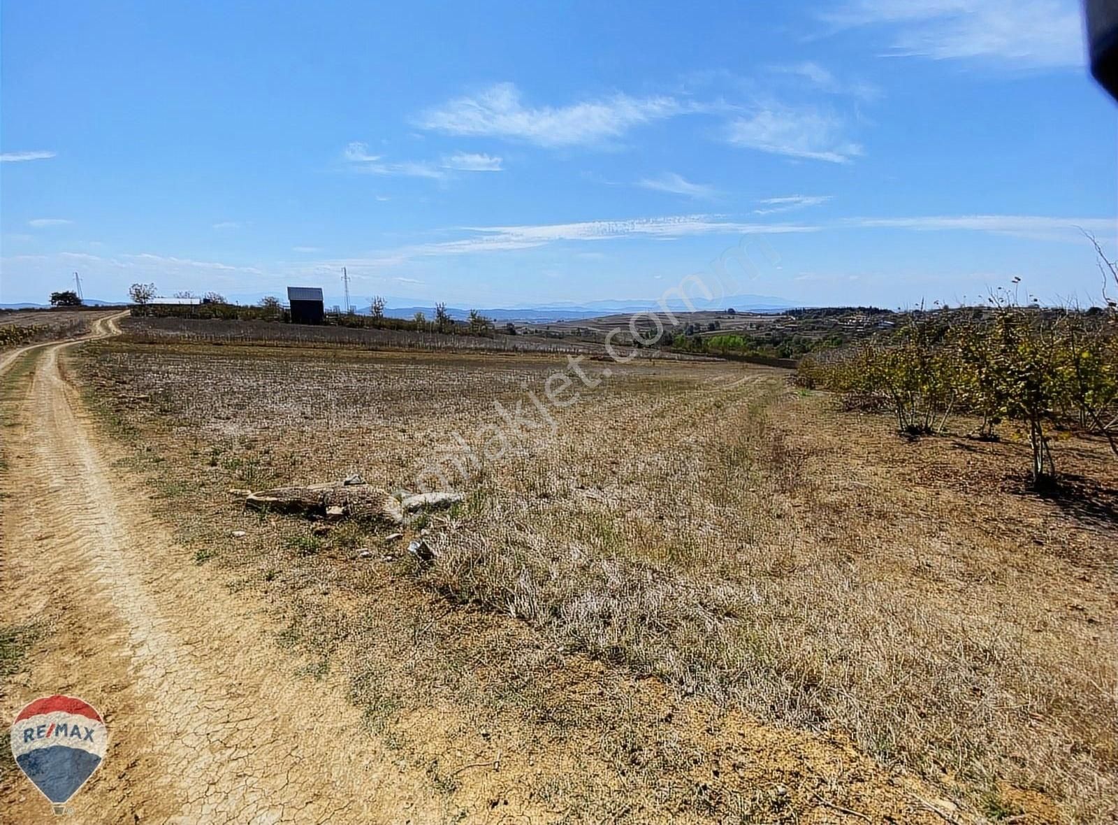 Söğütlü İmamlar Satılık Tarla Remax Mavi'den Söğütlü İmamlar Da Yatırımlık 2980 M² Tarla