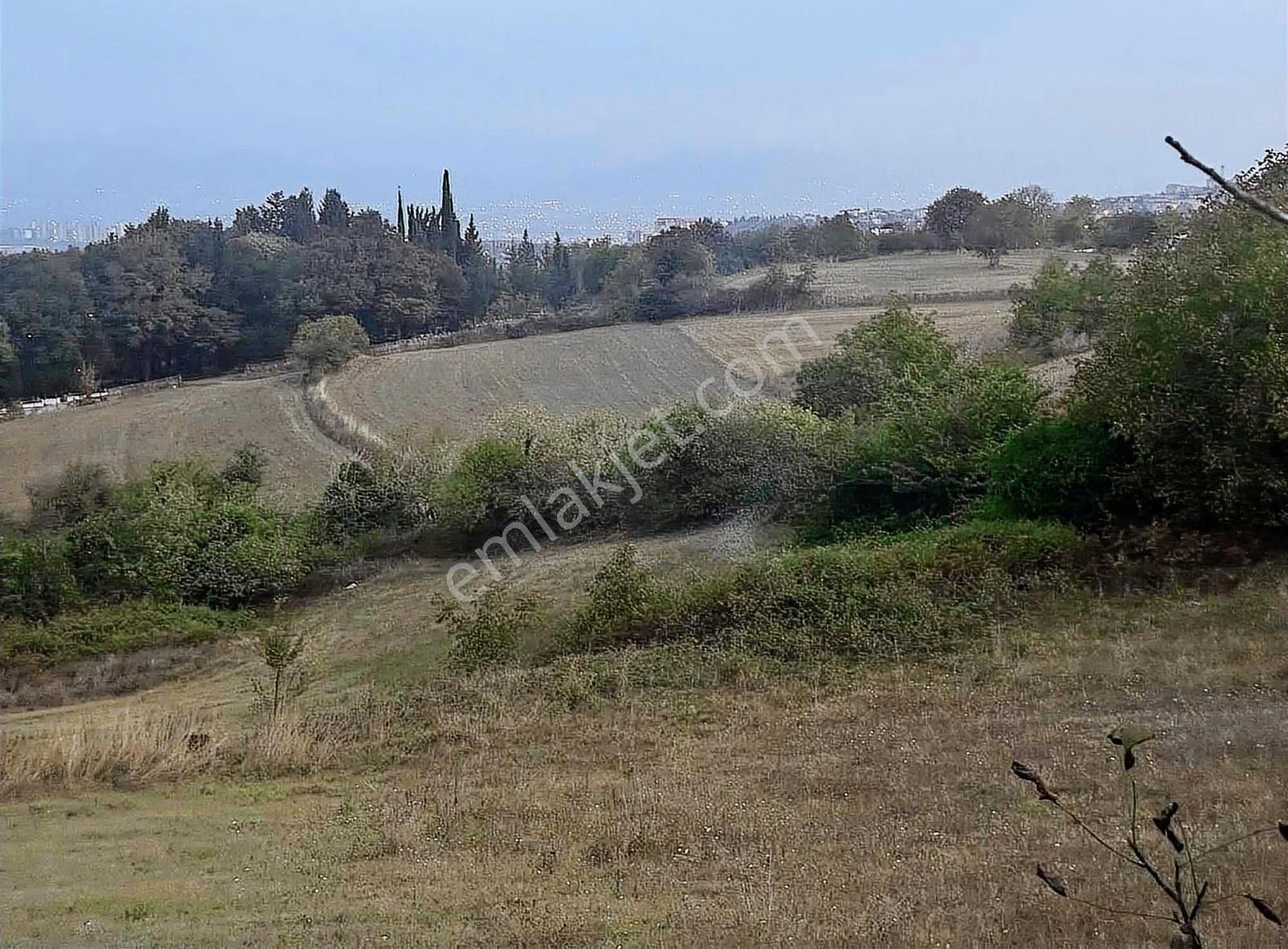 İzmit Sepetçi Satılık Konut İmarlı İZMİT SEPETÇİLERDE İMARLI ARSA KUPON