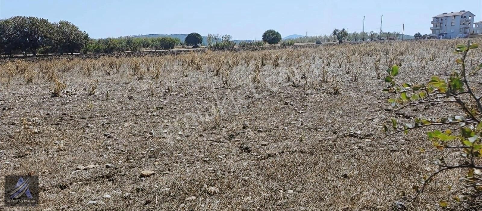 Kepsut Yenice Satılık Konut İmarlı Balıkesir Kepsut Yenice Mahallesinde 3.5 Kat İmarlı Satılık Arsa