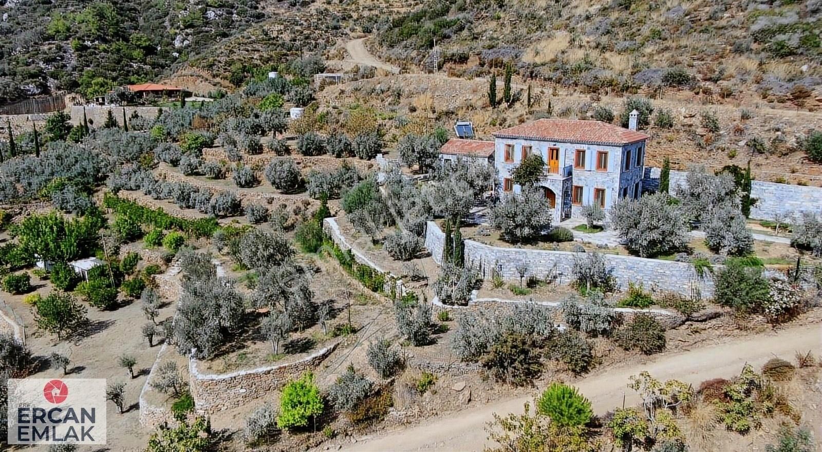 Özdere' De Mandalin Bahçesi - Görsel 3