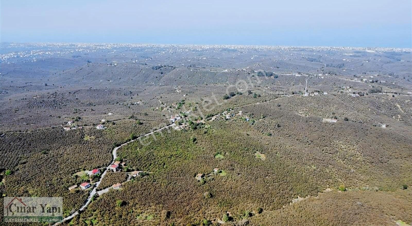 Kocaali Gümüşoluk Satılık Bağ & Bahçe Sakarya Kocaali Gümüşoluk Satılık Fındık Bahçesi