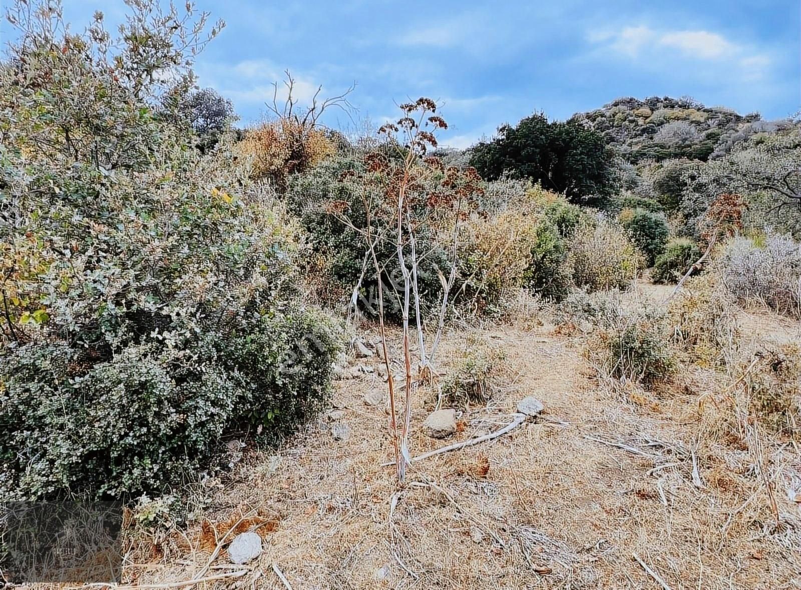 Bodrum Yalıkvak Geriş'te Satılık Marina Manzaralı Arazi - Görsel 3