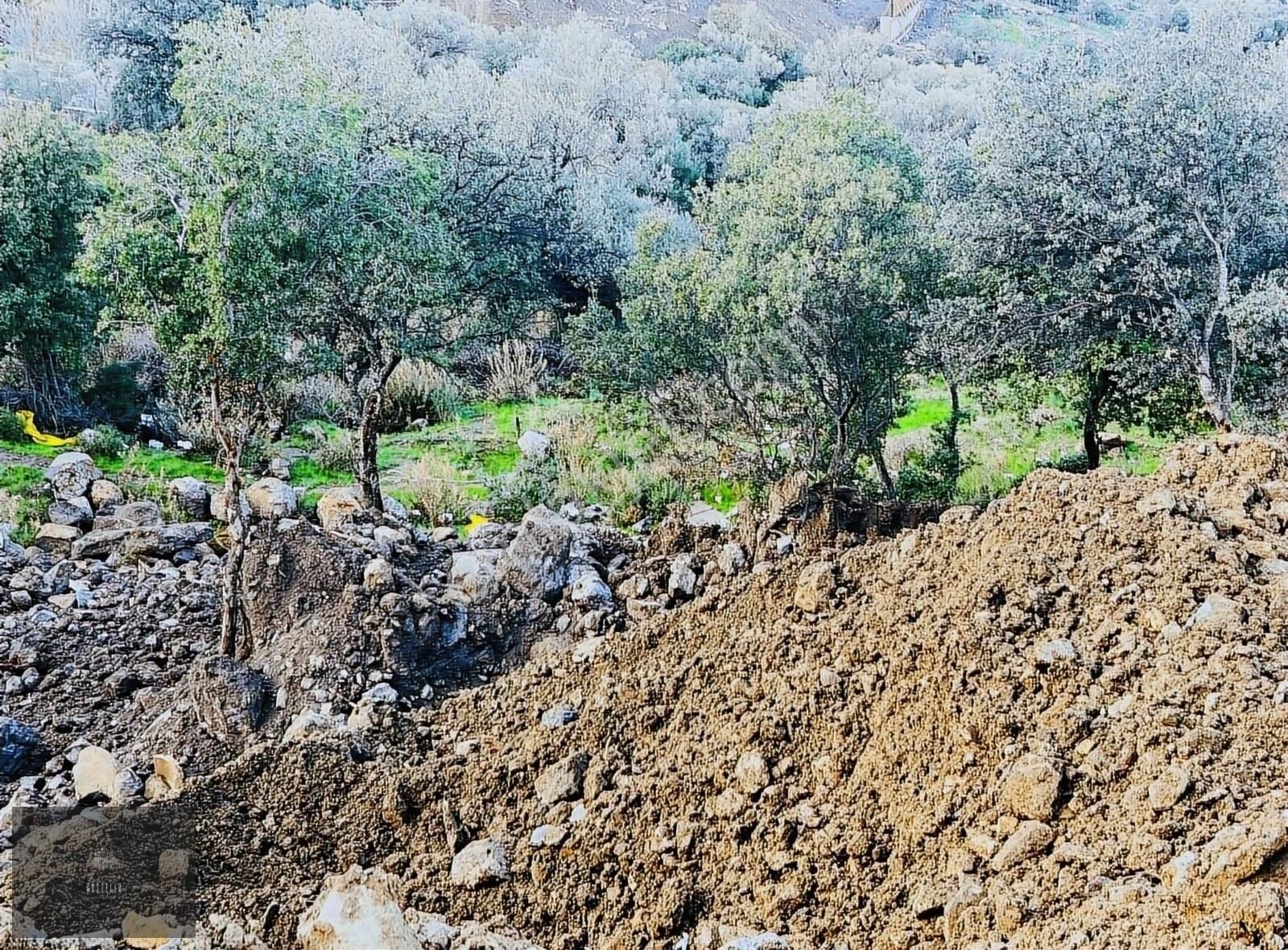 Bodrum Yalıkavak Da Çok Özel Doğa Ve Deniz Manzaralı Arsa - Görsel 4
