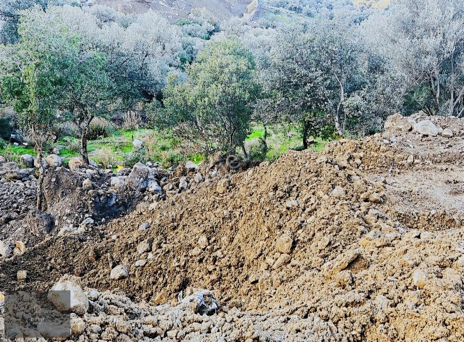 Bodrum Yalıkavak Da Çok Özel Doğa Ve Deniz Manzaralı Arsa - Görsel 5