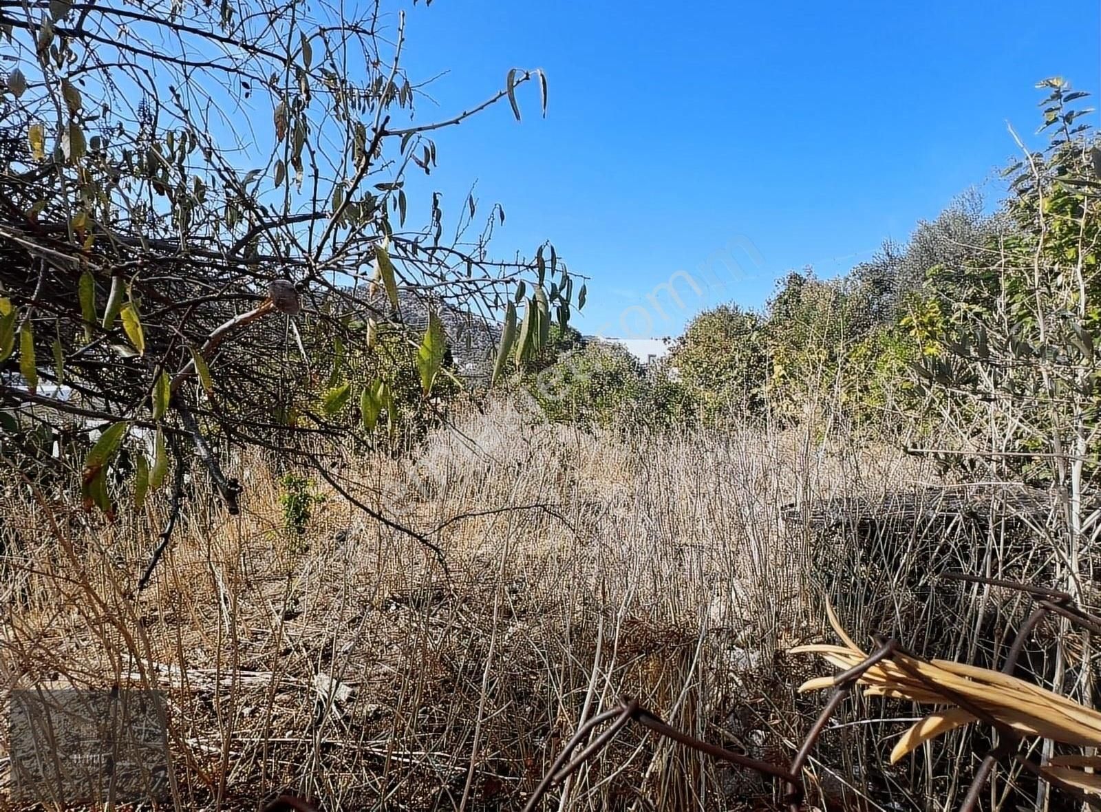 Gündoğan Merkez Satılık Arsa - Görsel 9