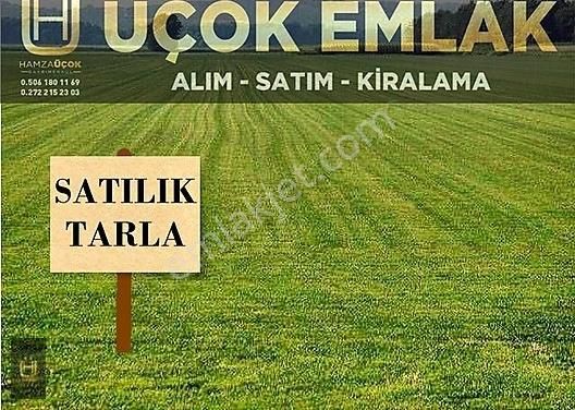 Sinanpaşa Akören Bld. (Bağdat) Satılık Tarla AFYON ÜÇOK EMLAKTAN SİNANPAŞA / AKÖRENDE SATILIK 6.051M² TARLA