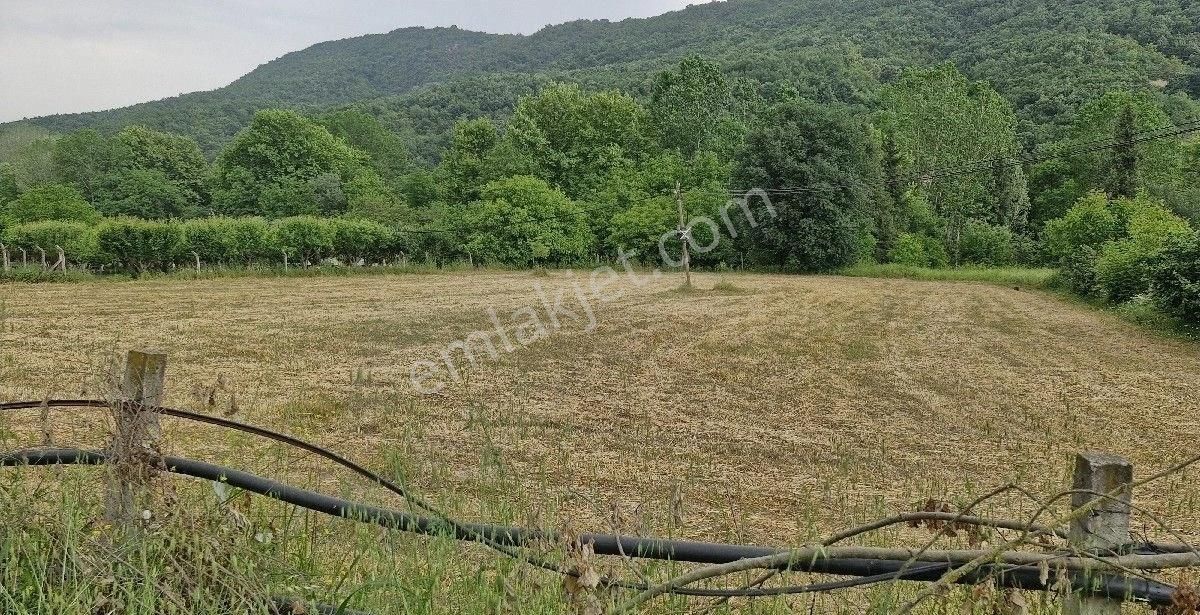 Altınova Karadere Köyü Satılık Konut İmarlı KOY ICI KONUT IMARLI ARSA