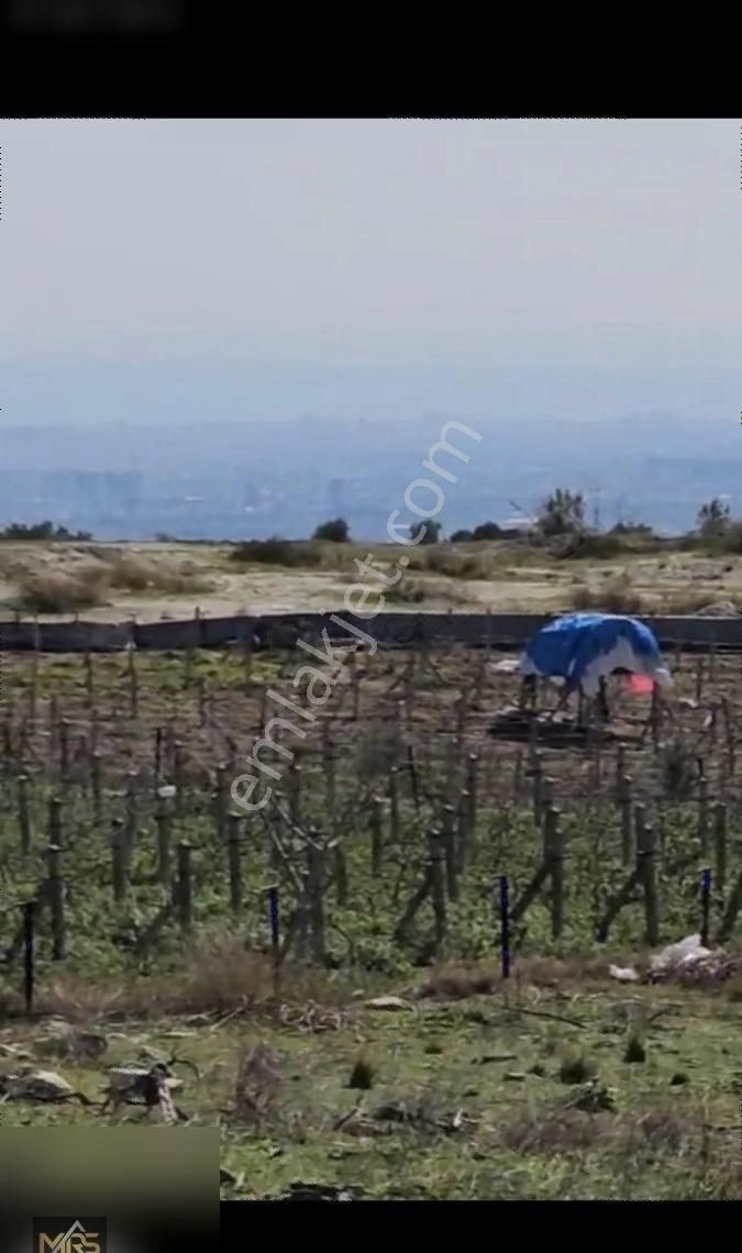 Toroslar Musalı Satılık Tarla MRS GAYRİMENKULDEN MUSALIDA ŞEHİR MANZARALI ARSA