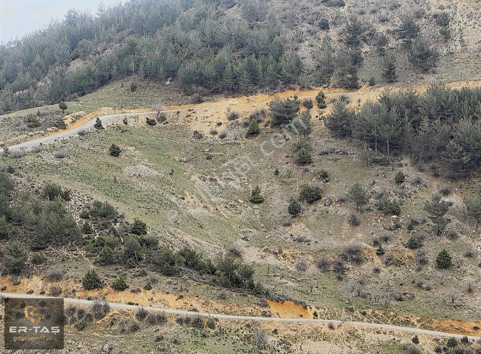 Onikişubat Fatmalı Satılık Bağ & Bahçe ER-TAŞ'TAN SATILIK BAĞ YERİ, FATMALI,da YOL KENARI, TAKASA UYGUN