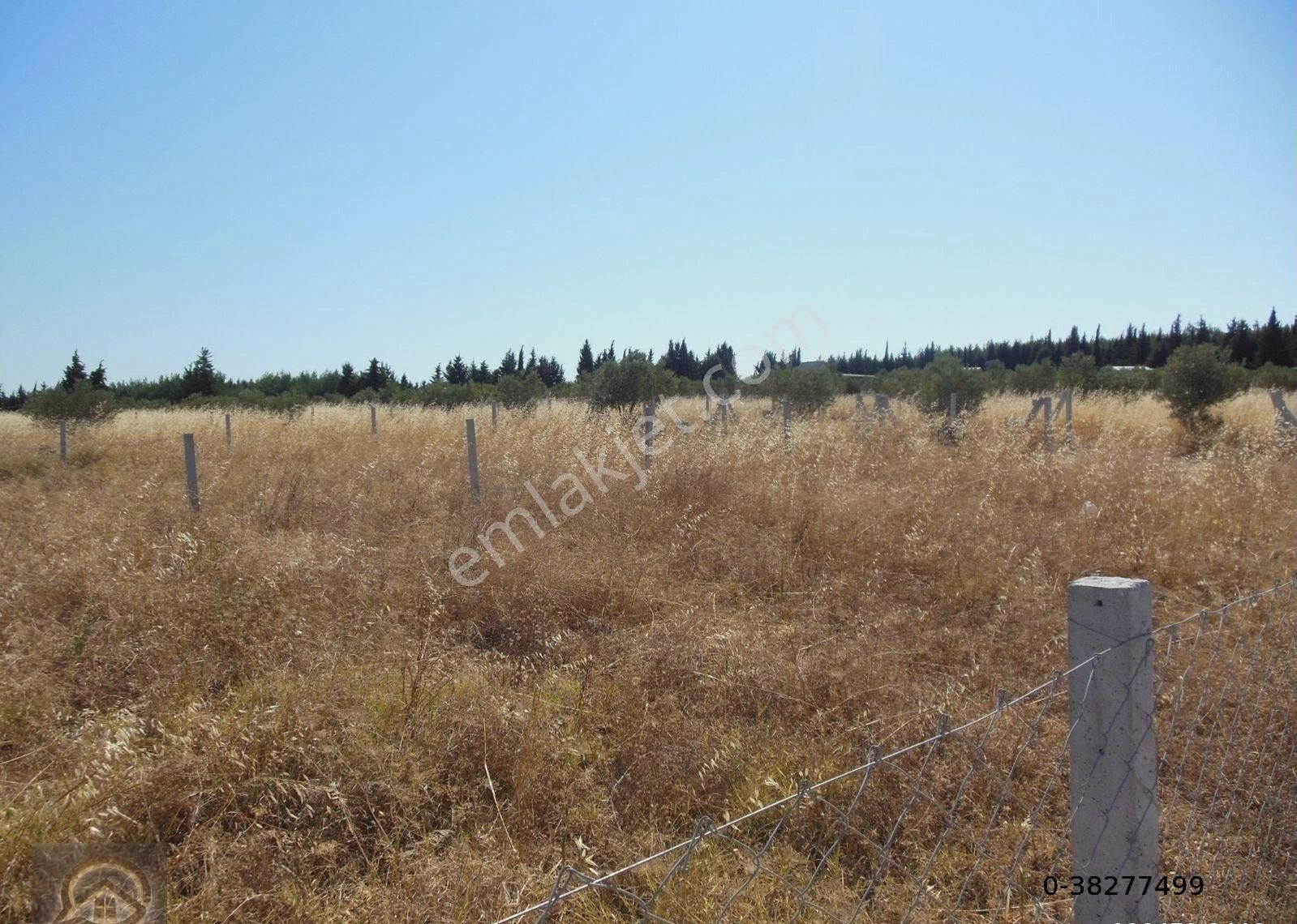 Menderes Oğlananası Cumhuriyet Satılık Bağ & Bahçe ÖĞRETMEN EMLAKTAN OĞLANANASINDA 200 M2 HOBİ BAHÇESİ