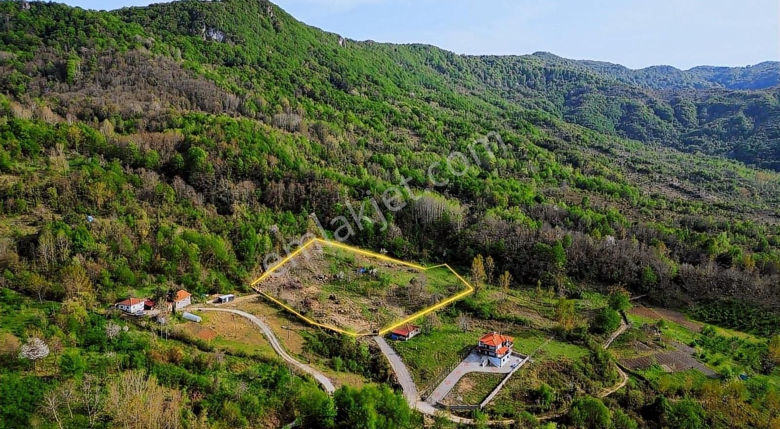 Amasra Aliobası Köyü (Merkez) Satılık Villa İmarlı ALTIN EMLAKTAN SATILIK DENİZ MANZARALI BUNGALOV'A UYGUN ARSA