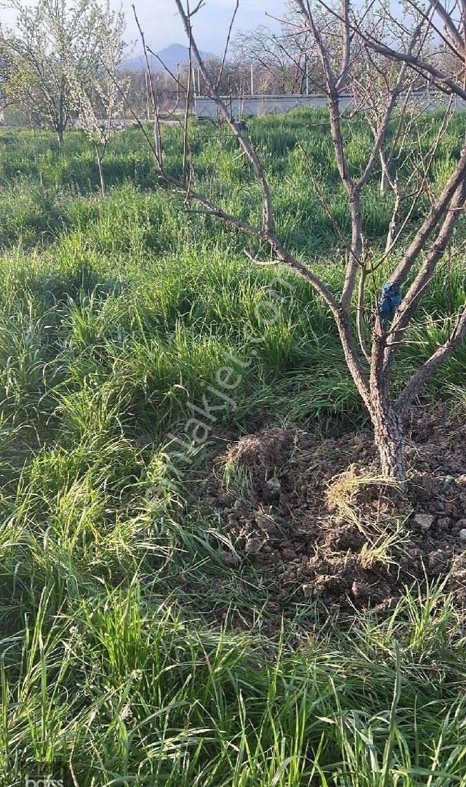 Burdur Merkez Askeriye Köyü (Karadere) Satılık Köy Evi müstakil bahçeli ev