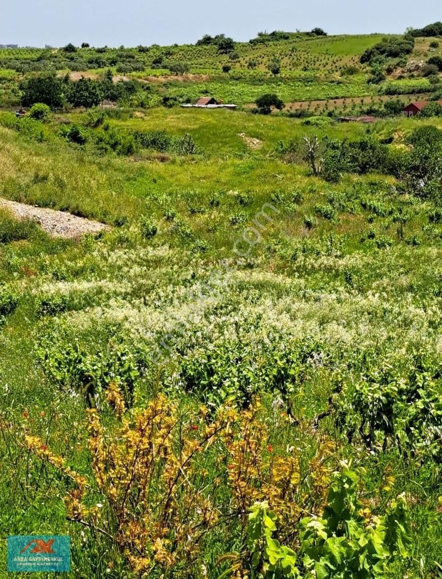 Şarköy Tepeköy Satılık Villa İmarlı Akra Gym,den Tekirdağ Şarköy,de Satılık Villa İmarlı Arazi