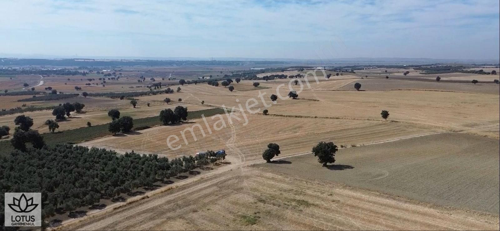 Çanakkale Merkez Halileli Köyü Satılık Tarla ÇANAKKALE HALİLELİ KÖYÜNDE 16 DÖNÜM YOLA CEPHELİ TARLA