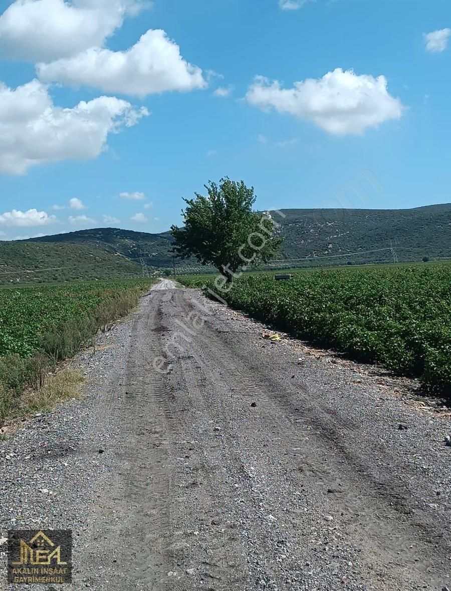 Torbalı Pancar Satılık Tarla İmara Yakın 12 Dönüm Düz Arazielektrik Su Yol Mevcut