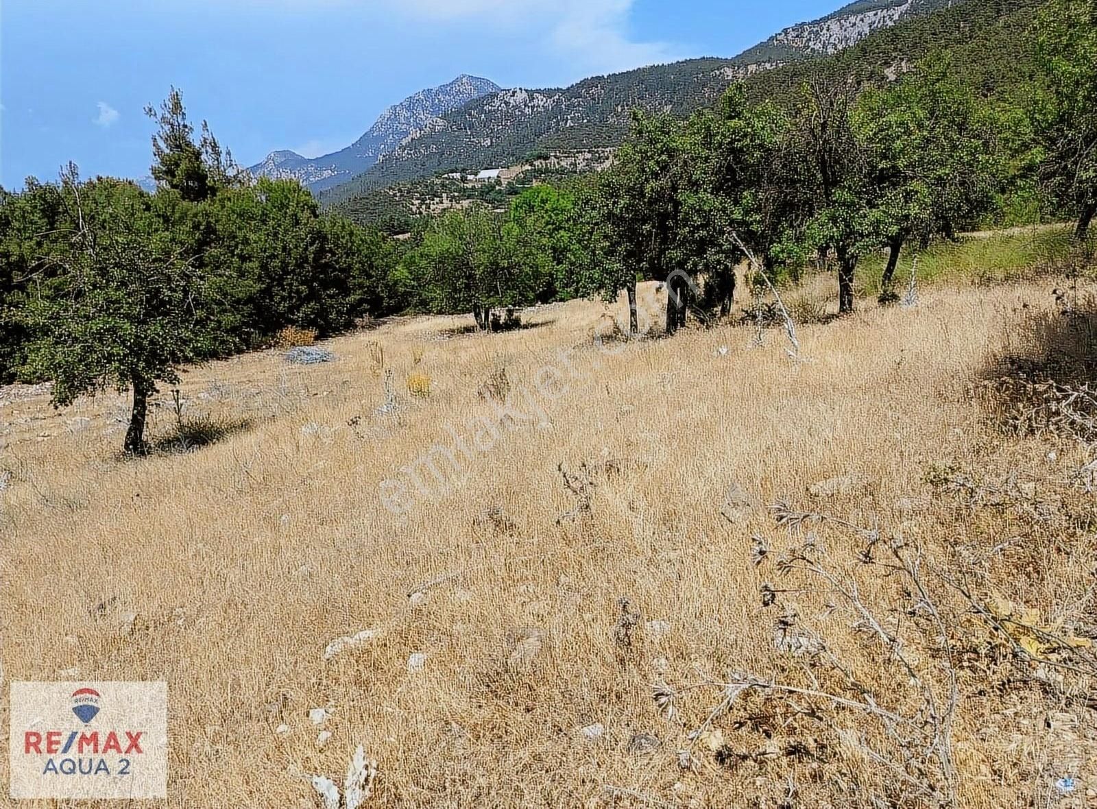 Konyaaltı Doyran Satılık Tarla DOYRAN'DA TARIMA VE BUNGALOV EV YAPIMINA UYGUN SATILIK TARLA