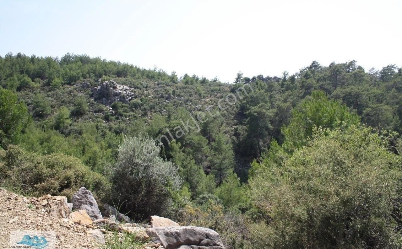 Alanya Satılık Tarla 46 Dönüm Akçatı - Görsel 4
