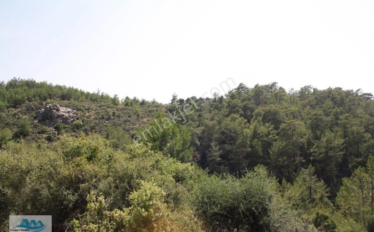 Alanya Satılık Tarla 46 Dönüm Akçatı - Görsel 5