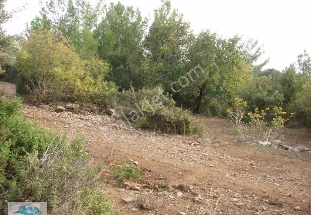 Alanya Satılık Tarla 46 Dönüm Akçatı - Görsel 9