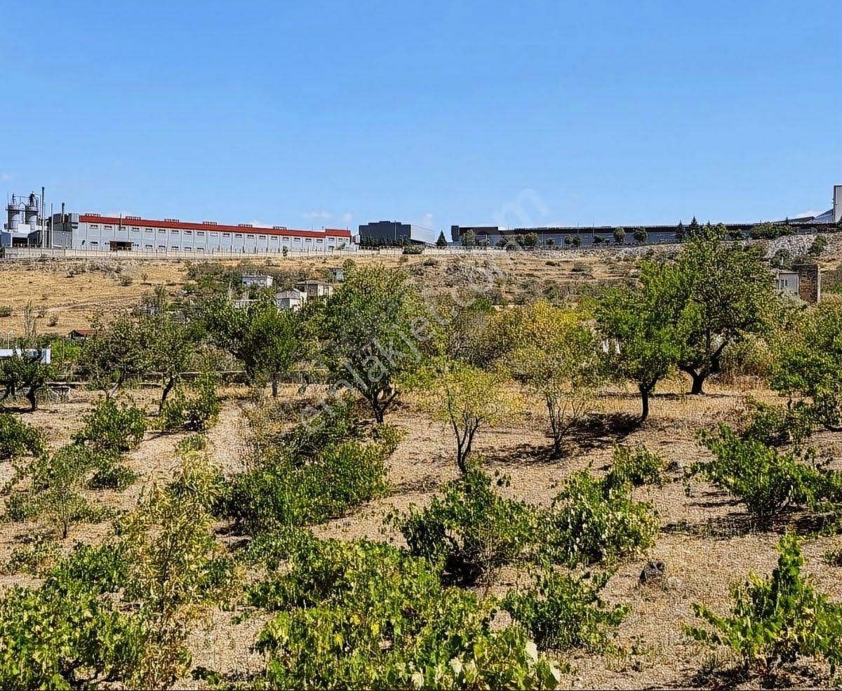 Hacılar Akyazı Satılık Villa İmarlı SAHİBİNDEN ACİL SATILIK PARSEL - MERKEZE YAKIN KONUMDA