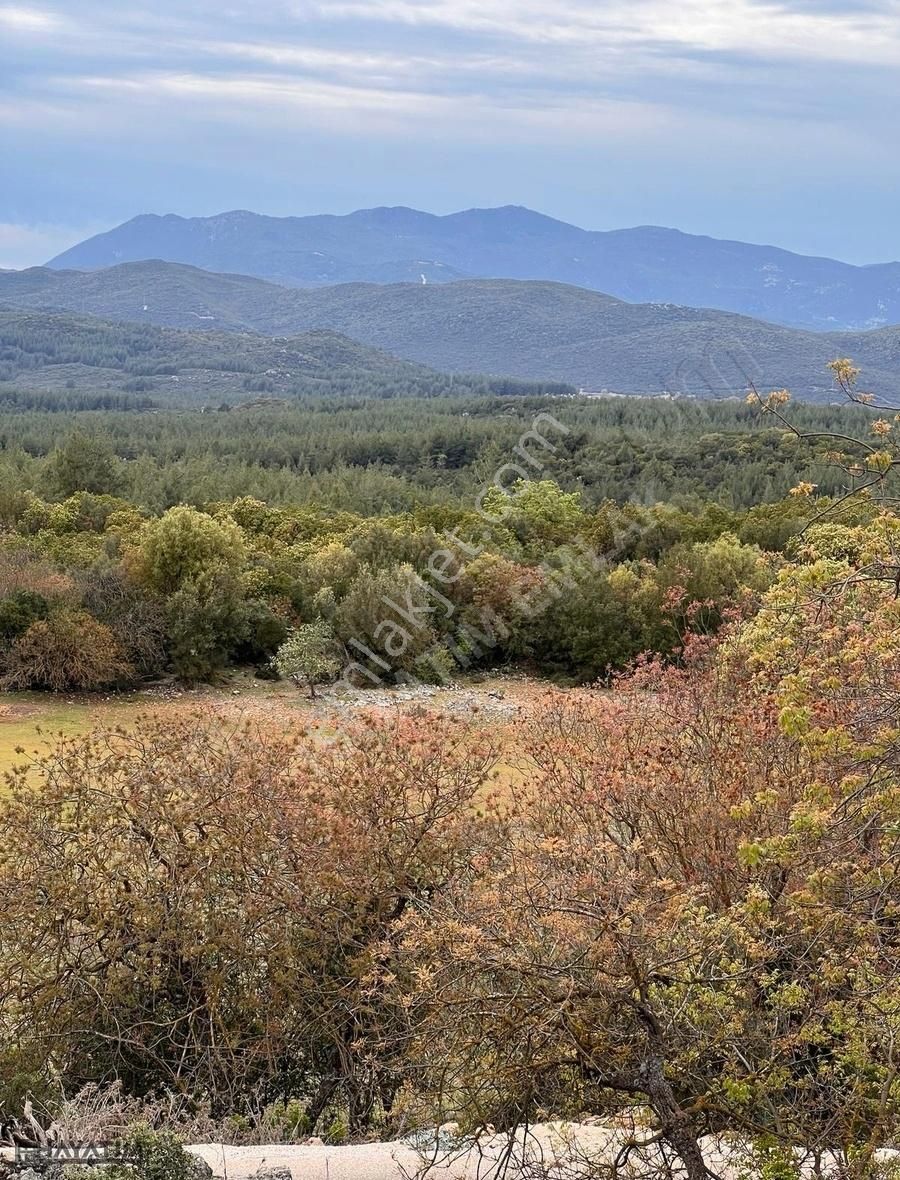 Kaş Gökçeyazı Satılık Tarla Hayatım Emlaktan Uygun Yatırımlık Müstakil Parsel