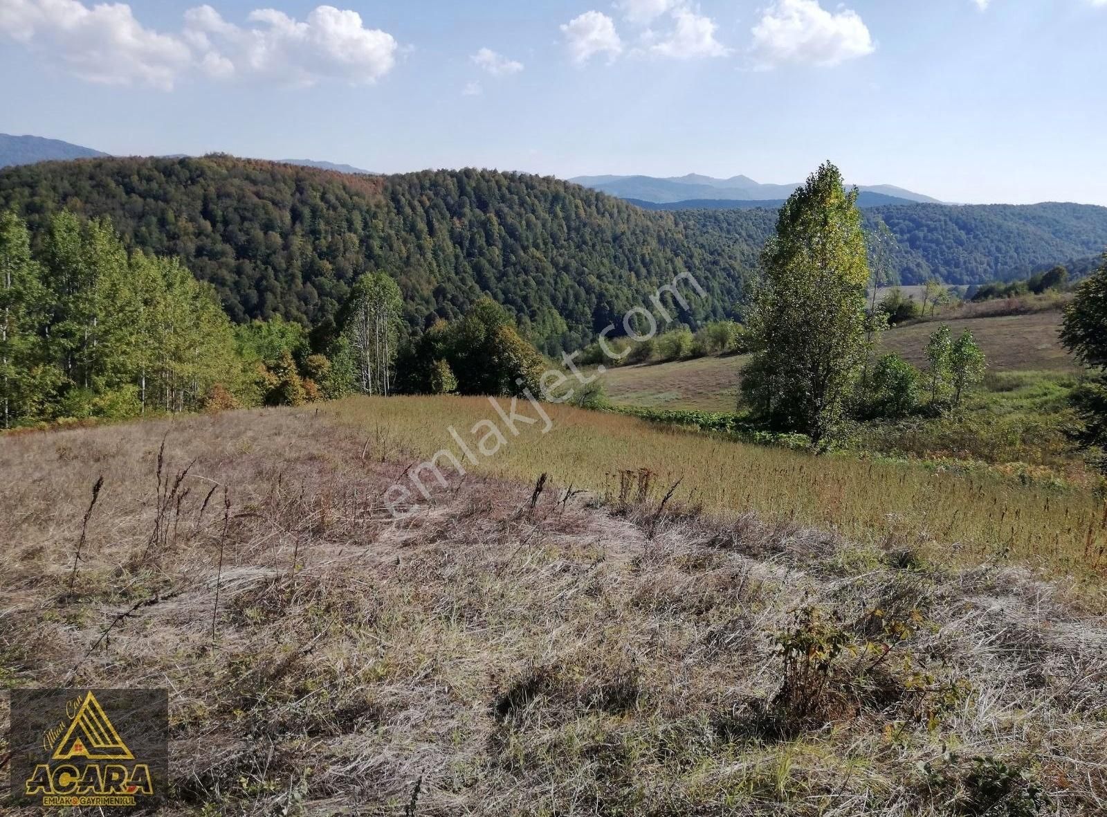 Acara'dan/iznik Kutluca'da Satılık 3.680m² İmarlı Arsa - Görsel 9