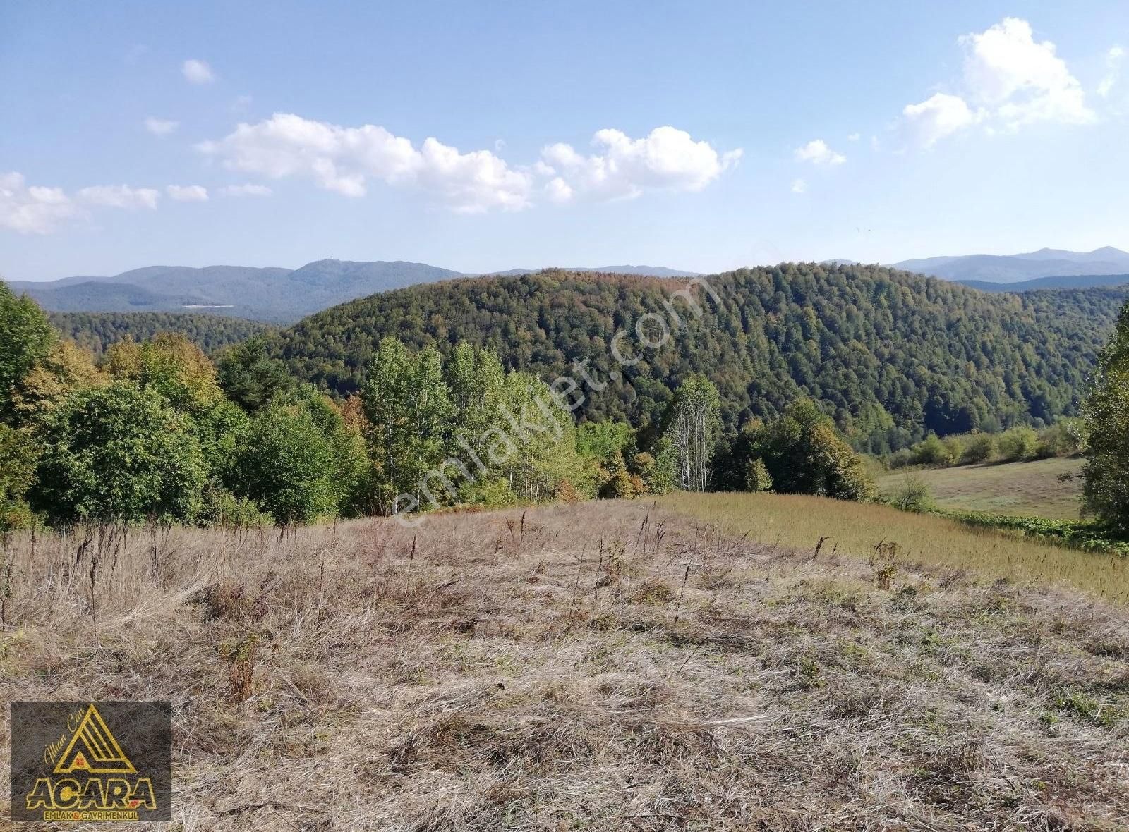 Acara'dan/iznik Kutluca'da Satılık 3.680m² İmarlı Arsa - Görsel 34