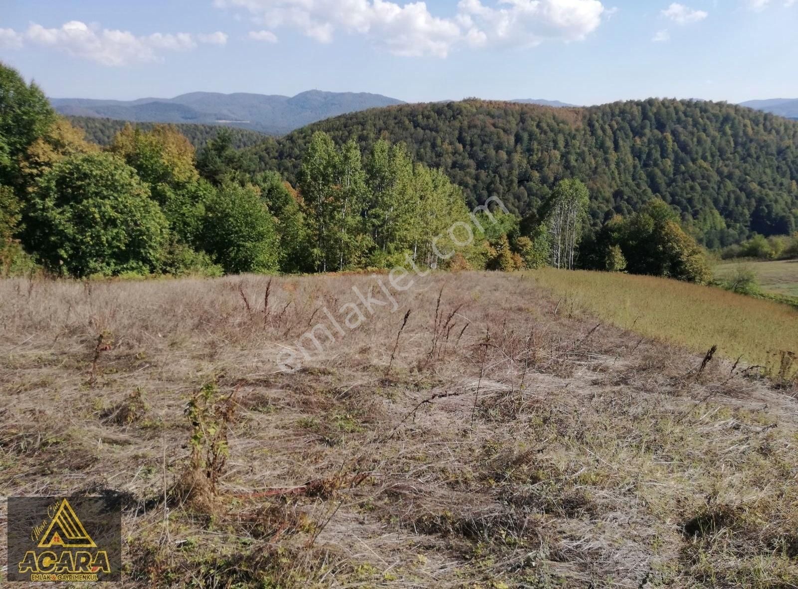 Acara'dan/iznik Kutluca'da Satılık 3.680m² İmarlı Arsa - Görsel 30