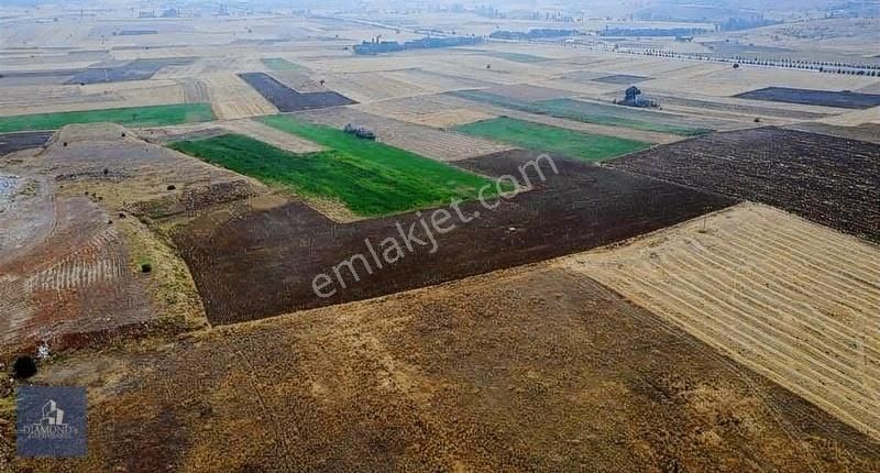 İnönü Dutluca Satılık Tarla Eskişehir İnönü Tutluca Da Sulanabilir 25766 M2 Tarla