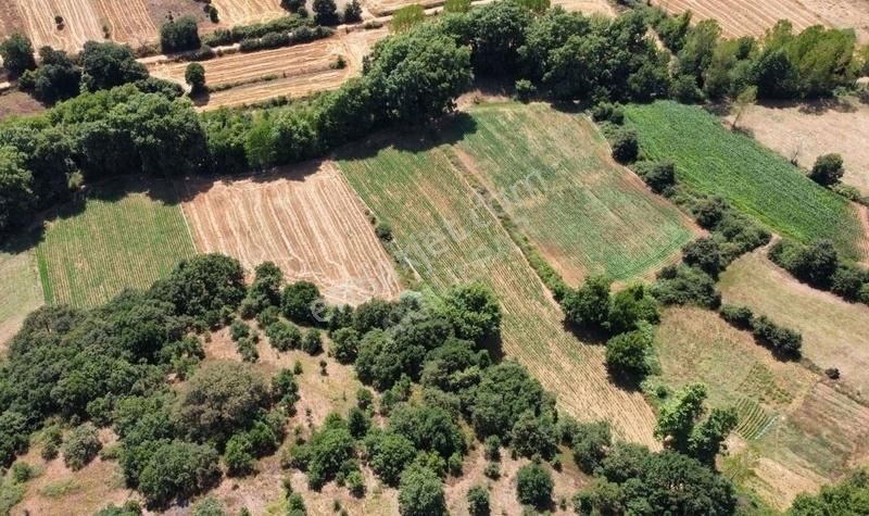 Biga Harmanlı Köyü Satılık Tarla ERKAN İZLER DEN ÇANAKKALE BİGA HARMANLI KÖYÜ ACİL SATILIK TARLA