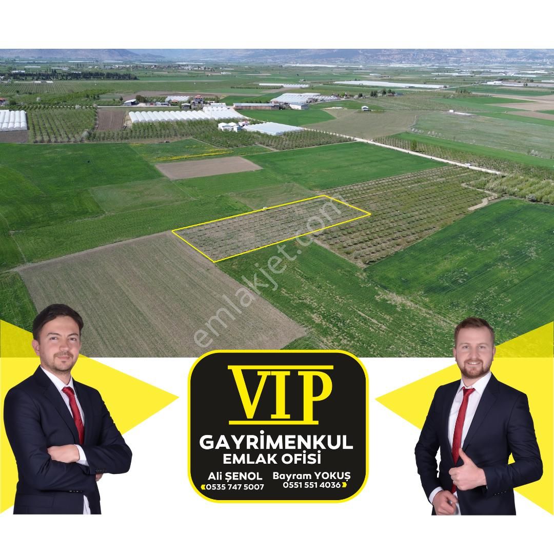 Elmalı Bayralar Satılık Tarla Vip Gayrimekul'den Bayralar Mahallesinde 3.100m² Elma Bahçesi