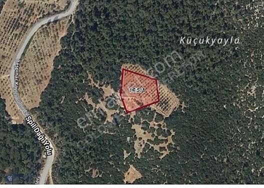 Kemalpaşa Beşpınar Satılık Tarla Kemalpaşa Beşpınar Köyü 3952 m2 Satılık Tarla