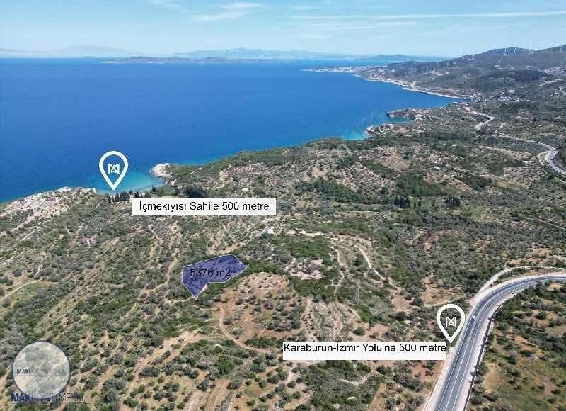 Kösedere İçmekıyısı'nda Satılık Zeytin Ağaçlı Tarla - Görsel 2