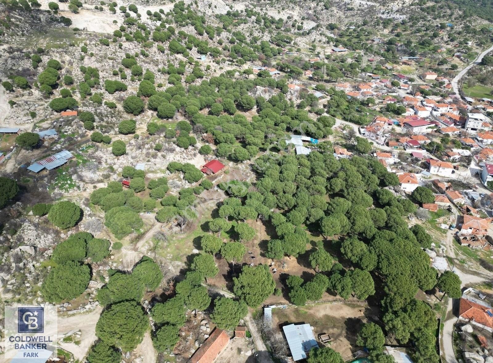 Cb Fark'tan Bergama Kozak Yaylası Satılık 1650 M² İmarlı Arsa - Görsel 3