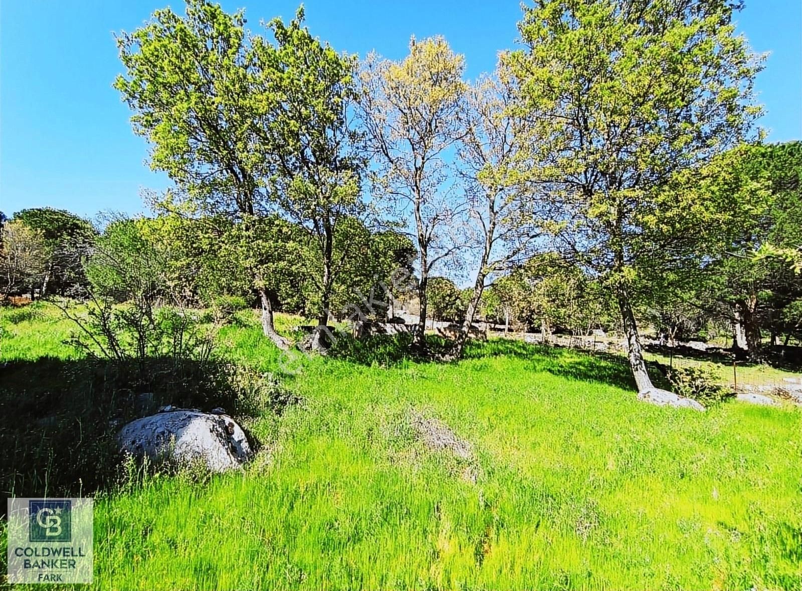 Cb Fark'tan Kozak Yaylası Tinyhause Ve Bungalov İçn Uygun Arazi - Görsel 10