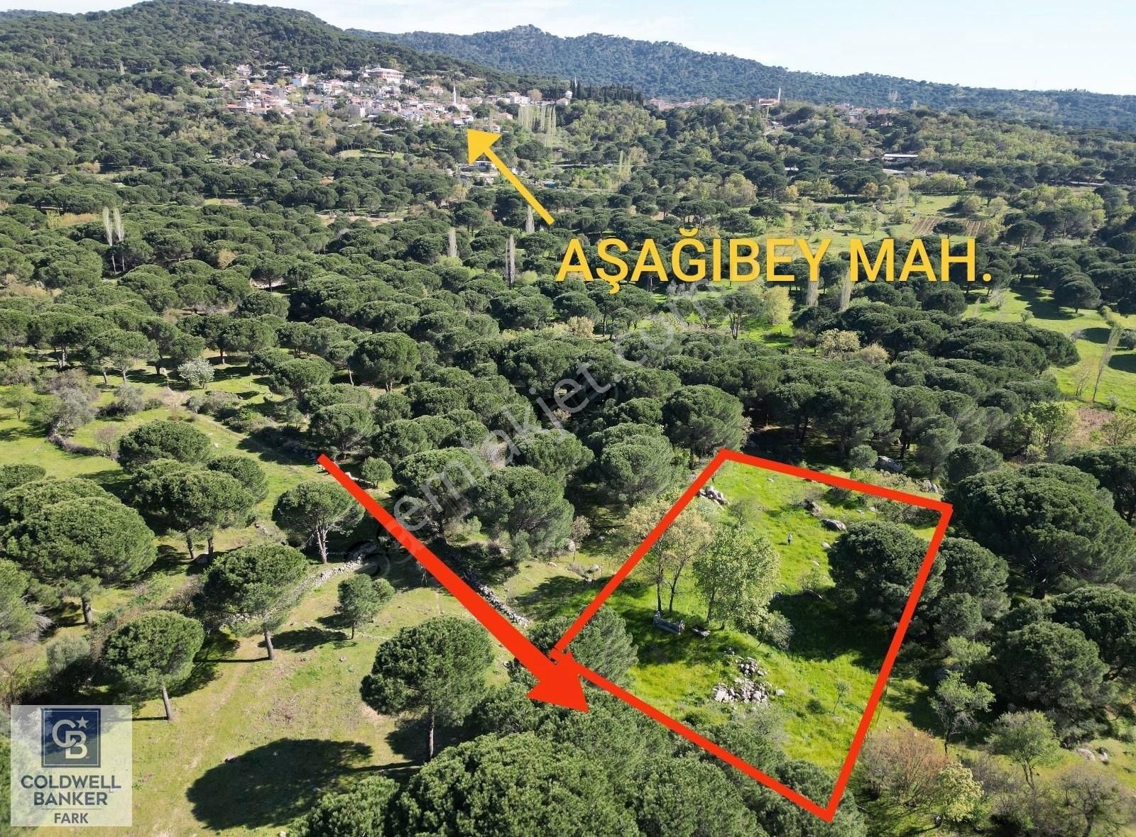 Cb Fark'tan Kozak Yaylası Tinyhause Ve Bungalov İçn Uygun Arazi - Görsel 22