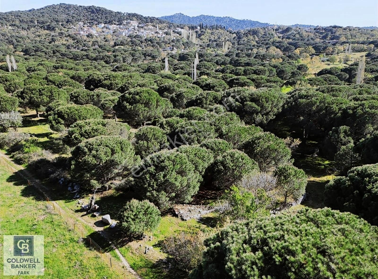 Cb Fark'tan Kozak Yaylası Tinyhause Ve Bungalov İçn Uygun Arazi - Görsel 16