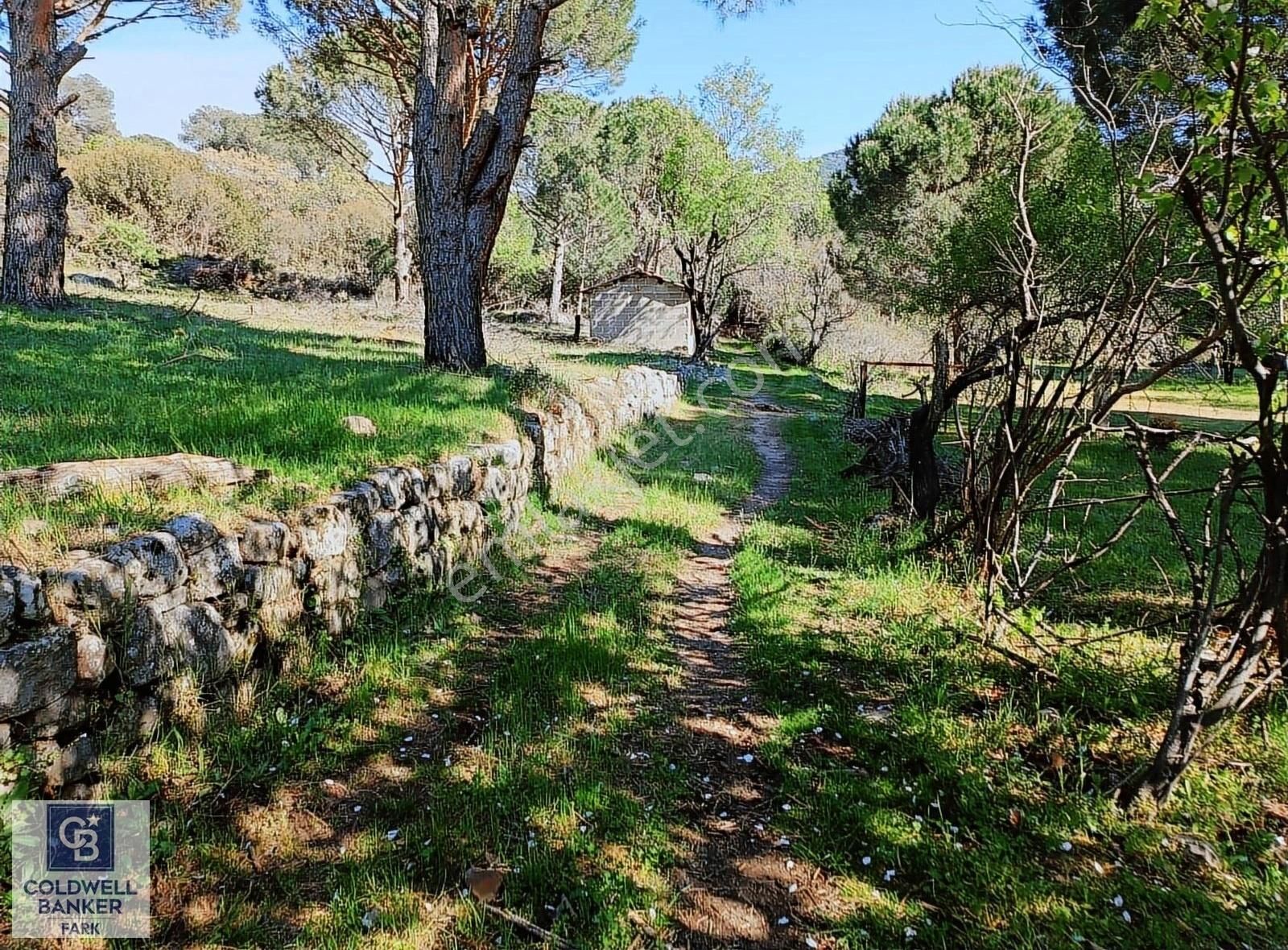 Cb Fark'tan Kozak Yaylası Tinyhause Ve Bungalov İçn Uygun Arazi - Görsel 4