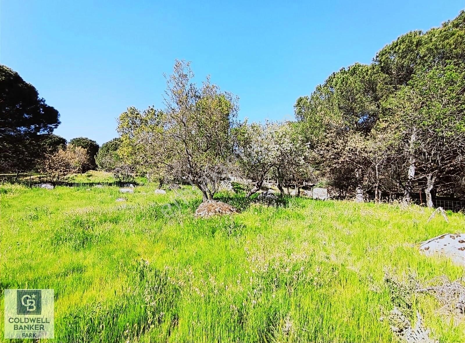 Cb Fark'tan Kozak Yaylası Tinyhause Ve Bungalov İçn Uygun Arazi - Görsel 12