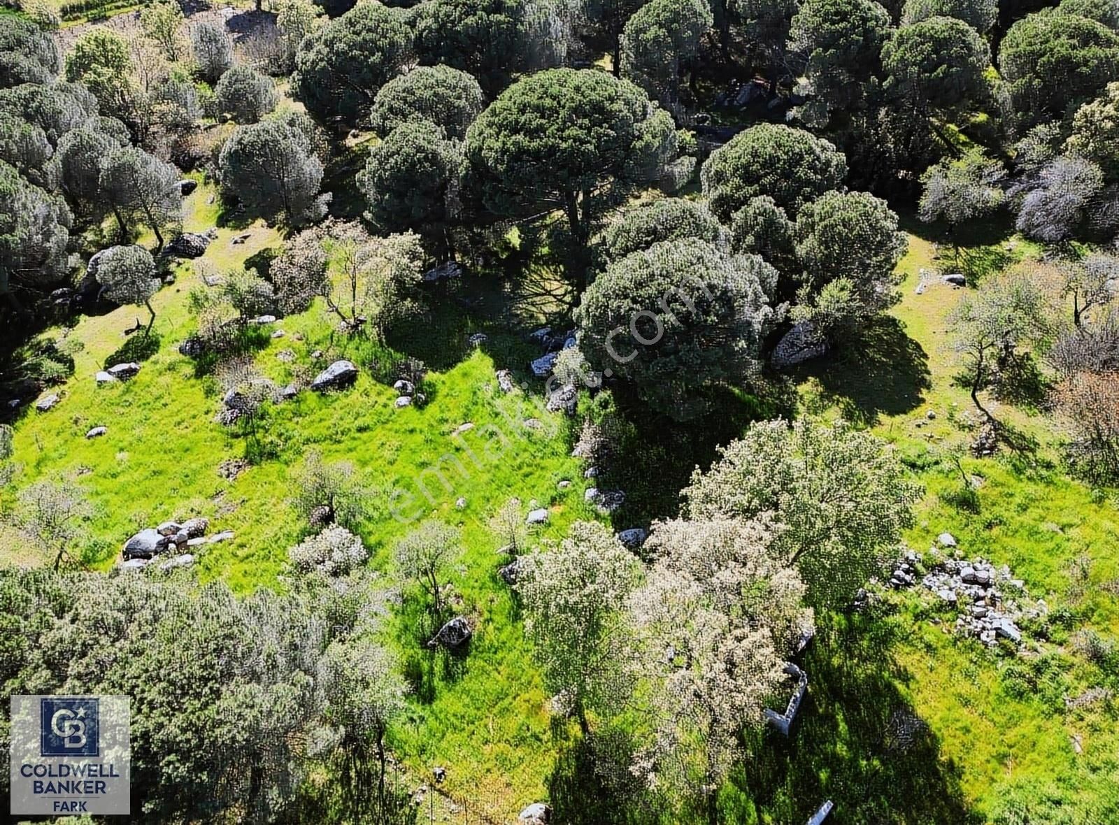 Cb Fark'tan Kozak Yaylası Tinyhause Ve Bungalov İçn Uygun Arazi - Görsel 19