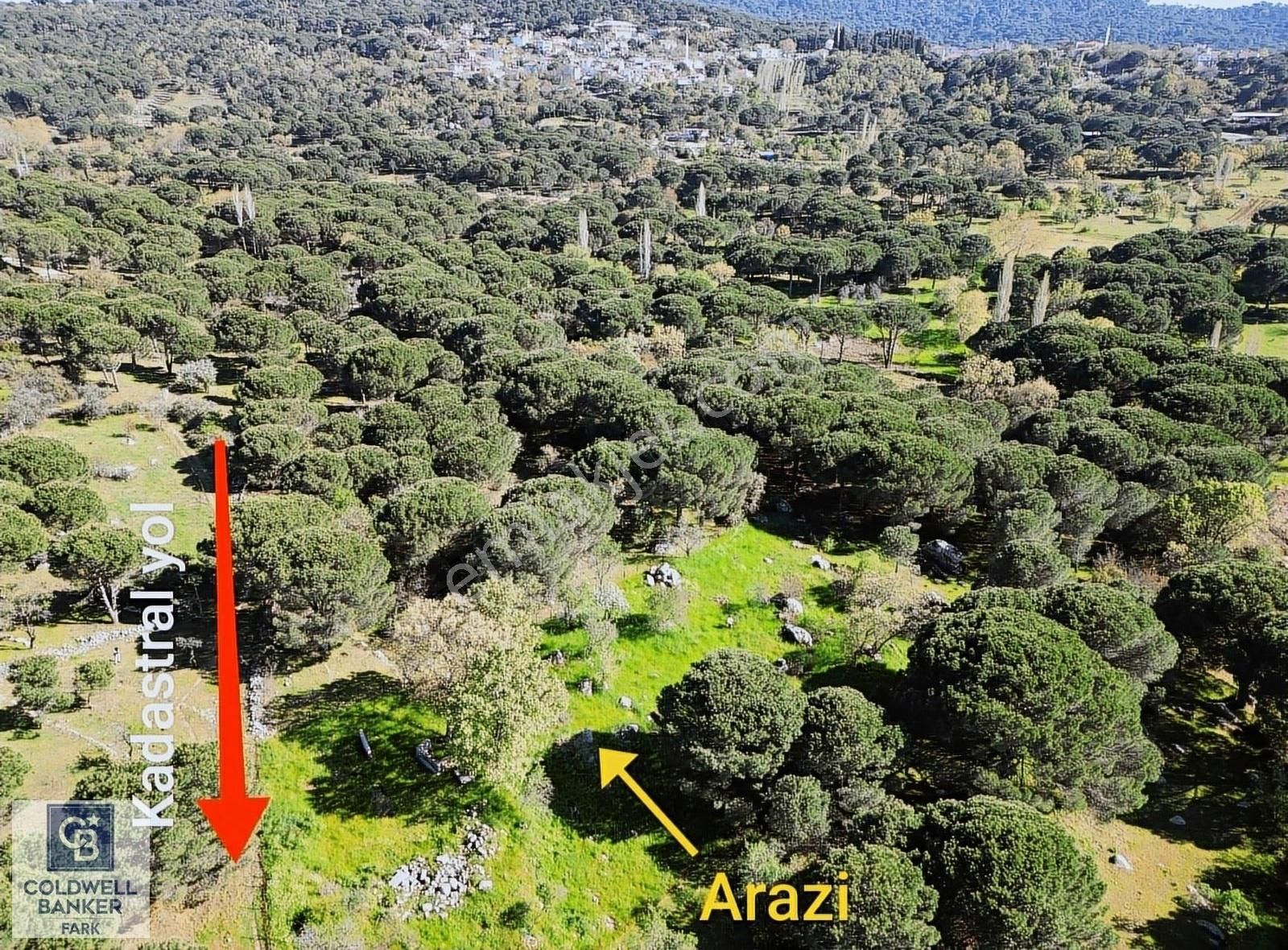 Cb Fark'tan Kozak Yaylası Tinyhause Ve Bungalov İçn Uygun Arazi - Görsel 15
