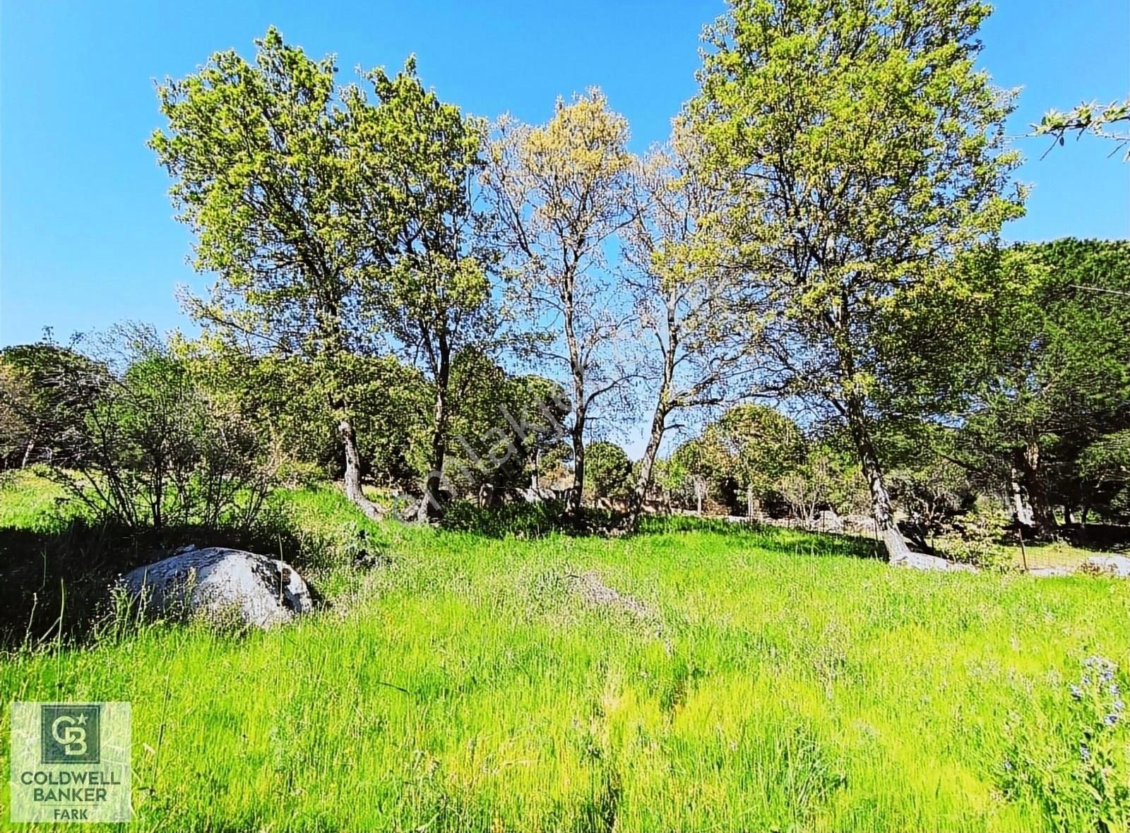 Cb Fark'tan Kozak Yaylası Tinyhause Ve Bungalov İçn Uygun Arazi - Görsel 3
