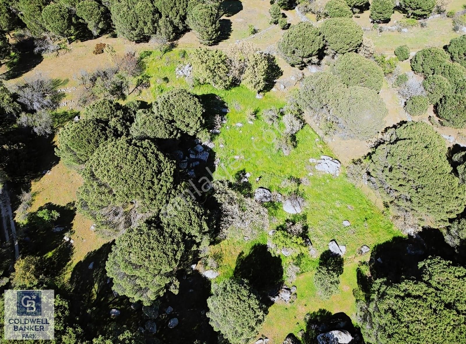 Cb Fark'tan Kozak Yaylası Tinyhause Ve Bungalov İçn Uygun Arazi - Görsel 23