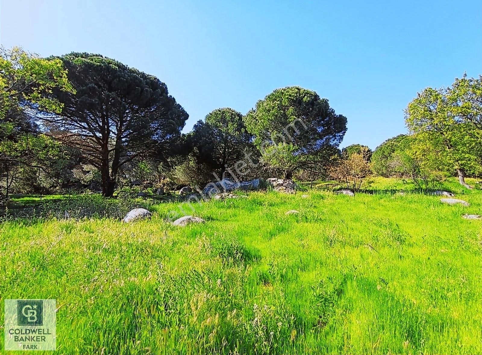 Bergama Aşağıbey Satılık Bağ & Bahçe CB Fark'tan Kozak Yaylası tinyhause ve bungalov içn uygun arazi