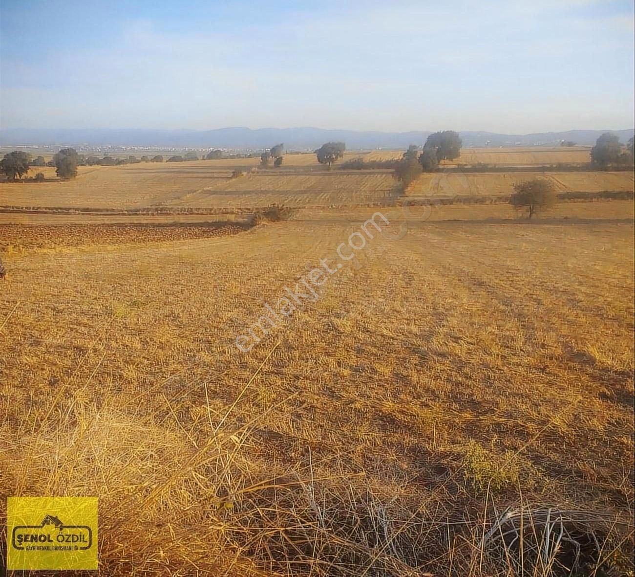 Biga Güleç Köyü Satılık Tarla ŞENOL'DAN ÇANAKKALE BİGA GÜLEÇ KÖYÜ SATILIK 2508 M.KARE TARLA