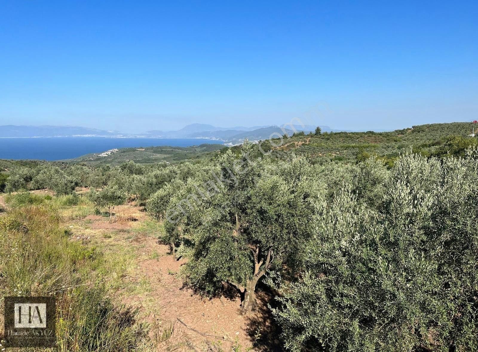 Mudanya Çepni Satılık Zeytinlik HAMİDE AKYÜZ' DEN MUDANYA ÇEPNİ'DE DENİZ MANZARALI ARAZİ