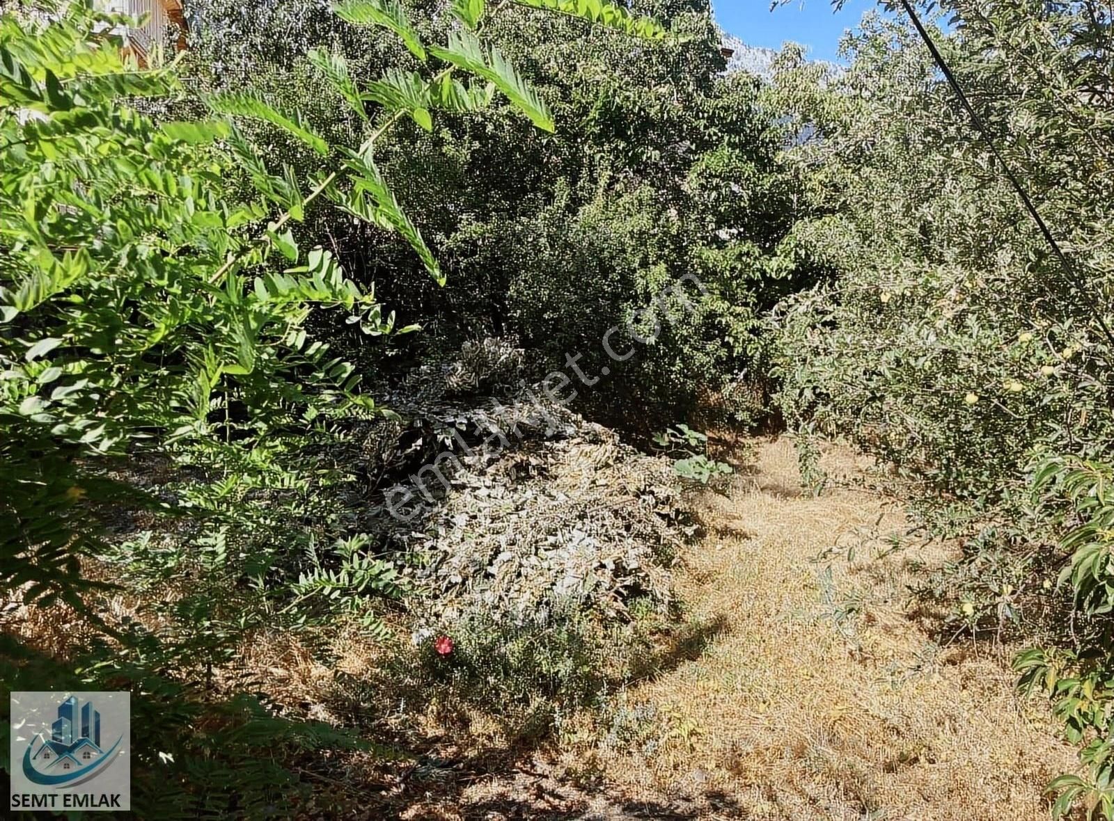 Semt Emlaktan İbradı Ormanada İmara Açık Satılık Arsa - Görsel 4